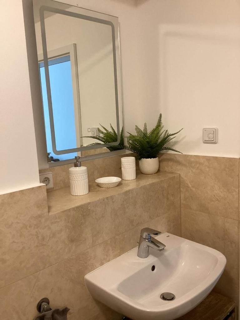 Apartment Tolle Zentrale Stadtwohnung In Berlin-weissensee-prenzlauer Berg Berlin